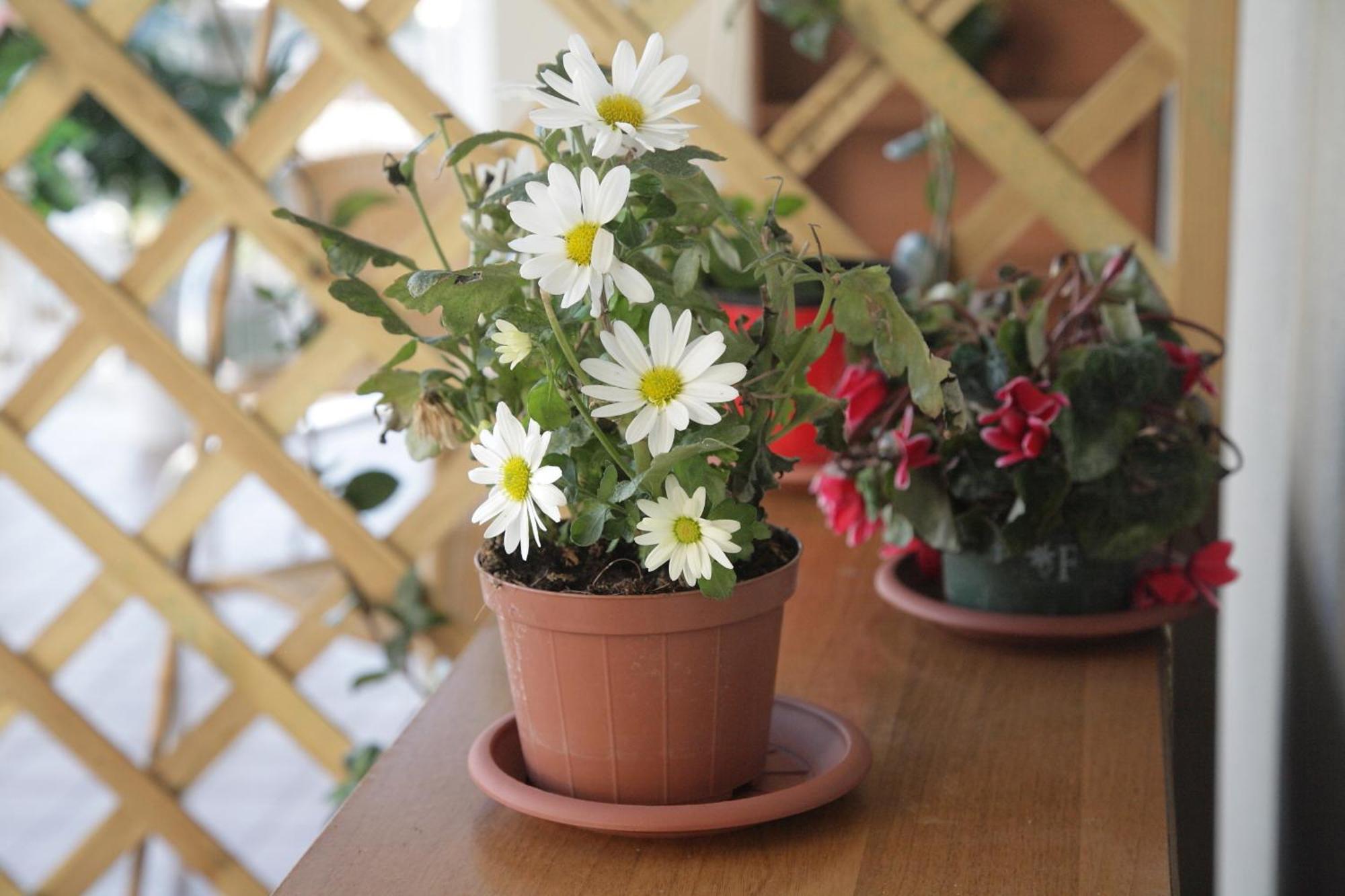 Etna Sea House Bed & Breakfast Katanya Dış mekan fotoğraf